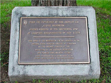 A snapshot of a square marker with a plaque. Marker text is in the body of this page.