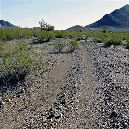 A snapshot of a desert scene with tire tracks and shrubs in the foreground and hills in the distance, thought to be the site of the mail station.