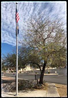 A snapshot of the flagpole with the library parking lot in the background.