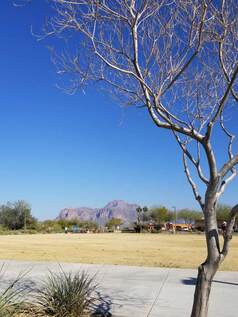 A snapshot across the grassy park play area.