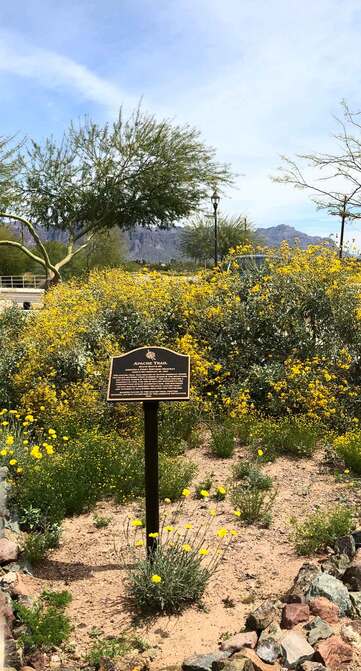 A snapshot of the marker just off the path.